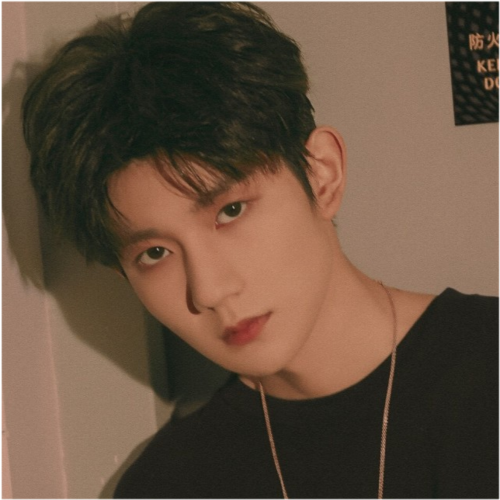 "度娘都搜不到的王源头像"