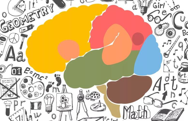 的身体迹象之前,他们的大脑早已不是儿童时期爆炸性发展的神经系统了