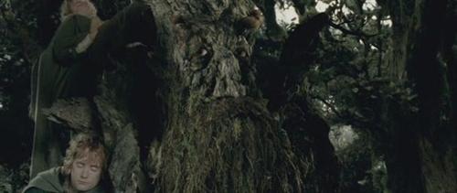 印尼树人"半人半树"