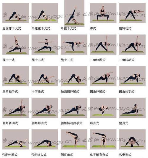 219个入门瑜伽体式,先收藏吧!