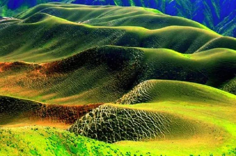 世界上超美的大草原,超清风景美图赏析