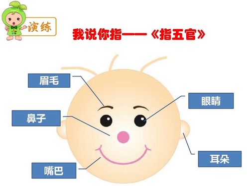 首先,通过小游戏让幼儿认识五官了解五官的作用以及重要性.
