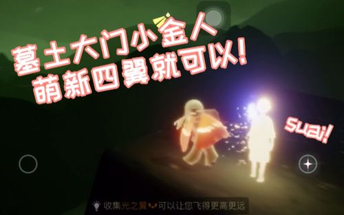 光遇教程墓土大门小金人怎么拿萌新四翼就可以啦78