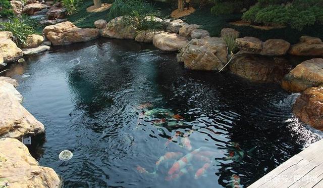 13个庭院鱼池设计,在院里建造一个假山鱼池,赏花观鱼