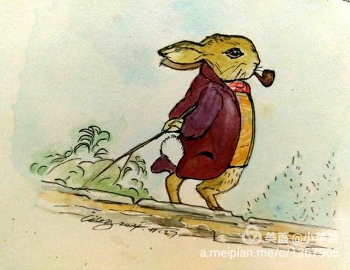 兔子本杰明中的老兔