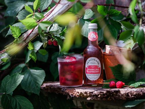 英国覆盆子汽水 (6入/12入组 即期商品 2020/11/28 优惠85折)