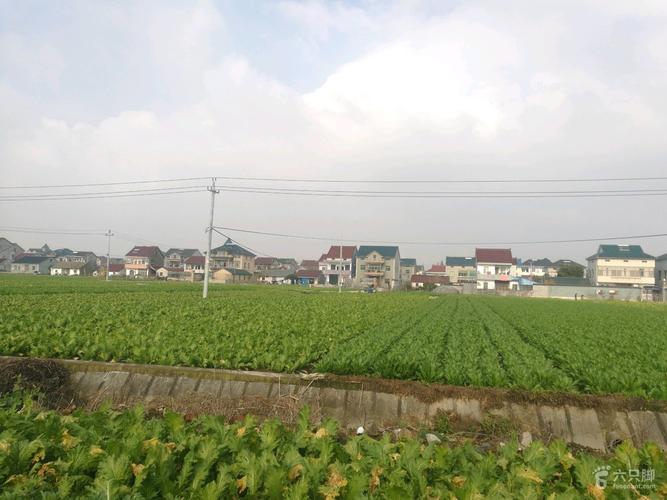 小曹娥镇 曹一村 人和村 共15个柜子