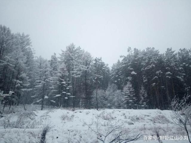 南方的雨,北方的雪