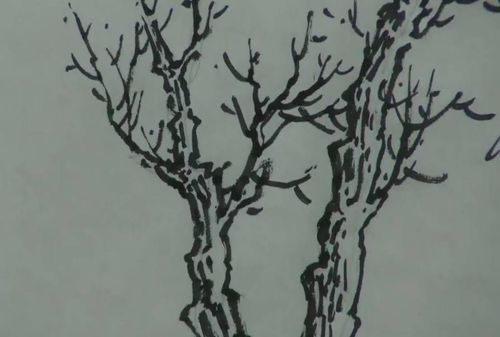 近距离观察老师笔法 皴树皮阴面线条粗一些,画树枝走各种大大小小的"