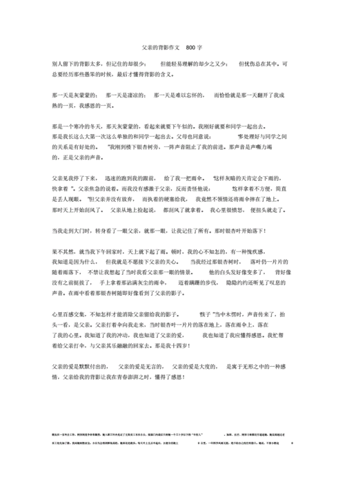 父亲的背影作文800字_17完美版.pdf 2页