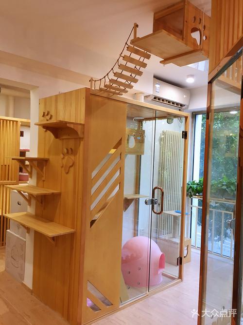 礼品房区域较安静,适合胆小的猫咪;奇异房造型时尚新颖,安静舒适;斜纹