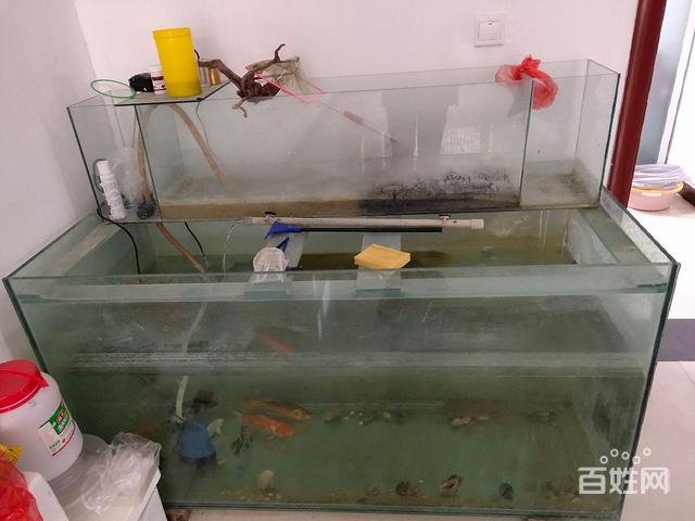 闲置鱼缸丶