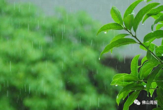 明后两天有零星小雨, 中期阴天为主, 后期有一次小到中雨降水过程
