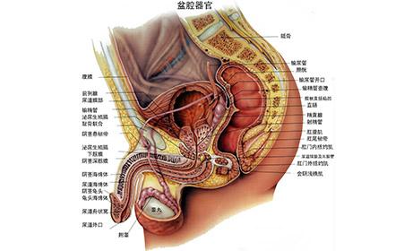 前列腺炎诊断会有什么样的误区
