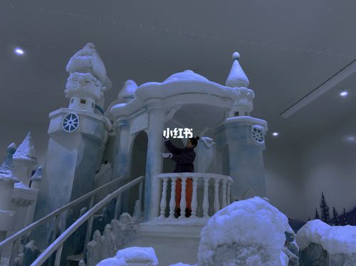 梧州冰雪小镇_鸿星怎么样_合景启迪冰雪小镇_储物_拍照_手套_滑雪板