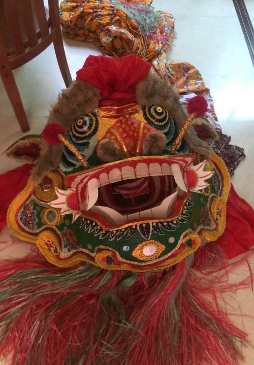 陆丰虎狮.名叫金狮.