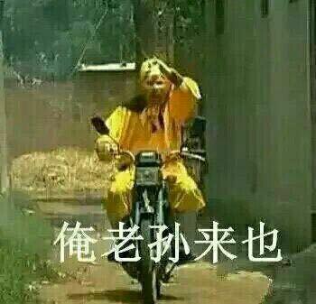 孙悟空表情包合集烦死了