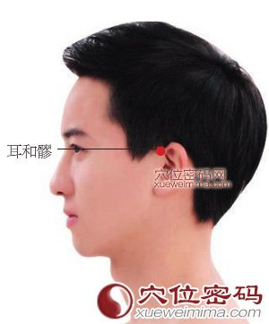 耳和髎穴位位置图