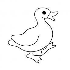 鸭子简单画法 家禽类简笔画