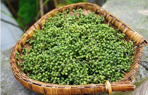 麻椒四川大红袍花椒特麻新鲜保鲜青花椒麻椒400g保鲜青花椒