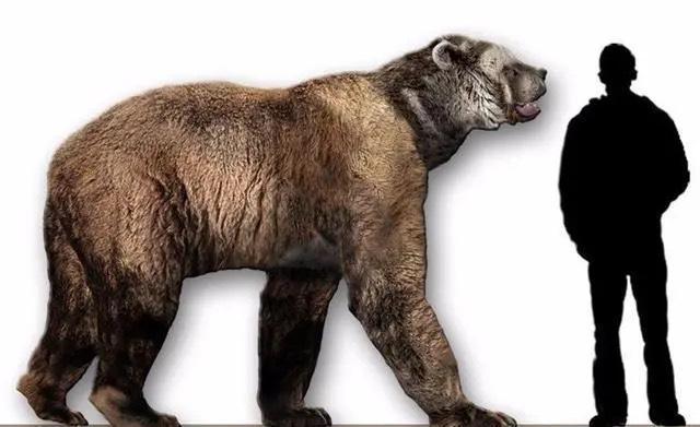 古生物学家分析:巨型短面熊与霸王龙正面厮杀,最后谁