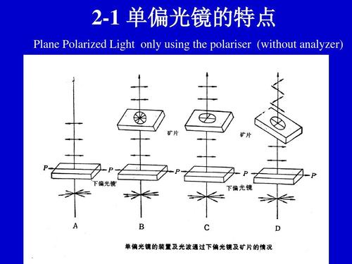 2-1 单偏光镜的特点 plane polarized light only using the