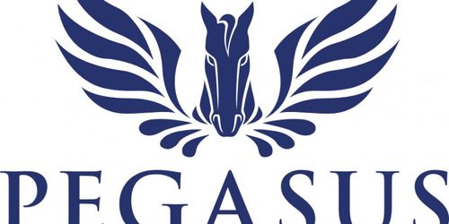 vpn : how to watch pegasus world cup 2018 live online?