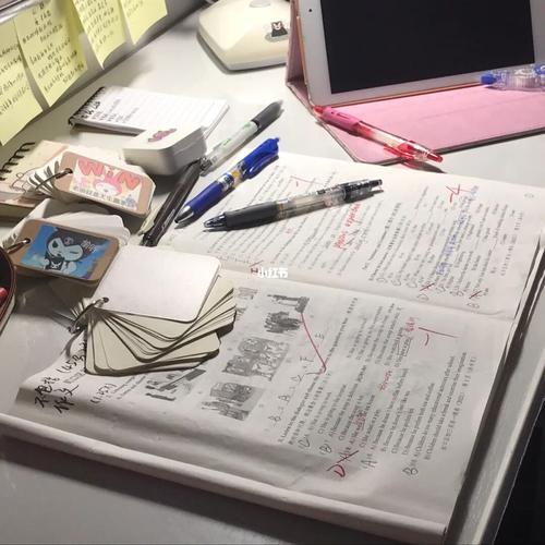 study_英语_教育_教育其他