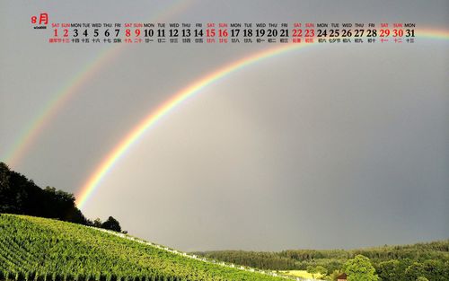 首页 桌面壁纸 日历壁纸 2020年8月唯美彩虹风景日历壁纸 上一张 下一