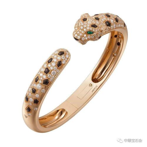 代代更迭穿梭于卡地亚世界的神秘猎豹