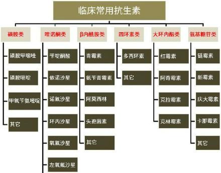 一图读懂 |简明抗生素分类