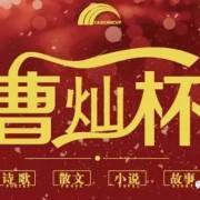 曹灿杯 20页 别说我小  小珂(2019)曹灿杯 部分作品示范>>
