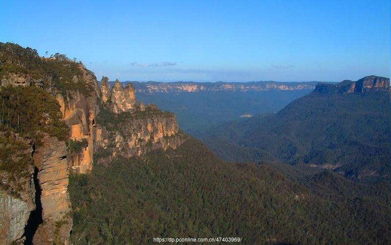 澳洲蓝山