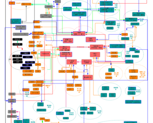 海贼王人物关系图