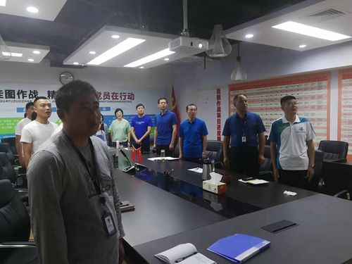 蓼河新区机关党支部召开"庆国庆,看阅兵"主题党日活动