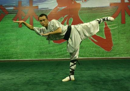 蛇拳