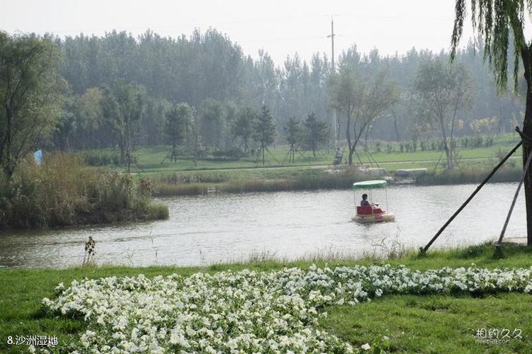 滨州秦皇河公园旅游攻略 之 沙洲湿地(8/共12页)
