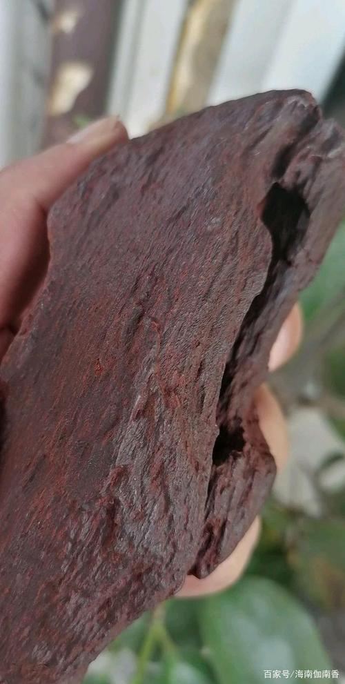 伽南香作为中国顶级香料,为什么现代人对它的认识如此混乱不堪?