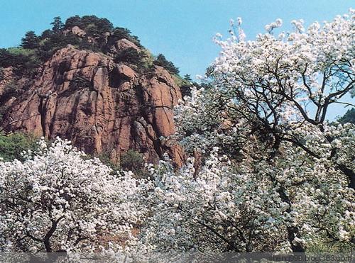 镇原县-- 潜夫山森林公园