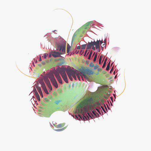 手绘/卡通 卡通元素 > 捕蝇草  收藏 [声明] 觅元素所有素材为用户