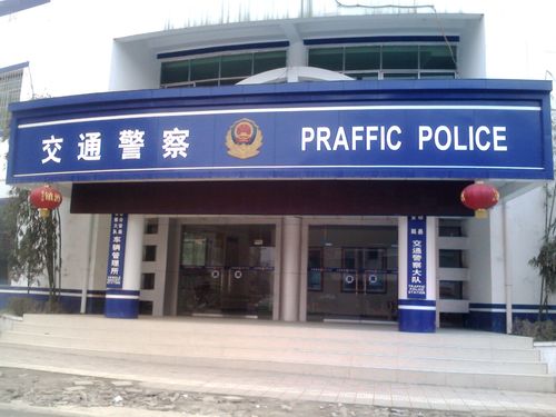 交警队实习报告精选范文