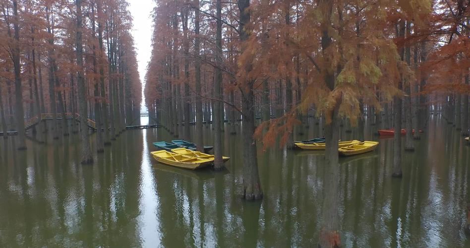 扬州渌洋湖生态旅游度假村水上森林