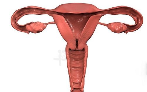 子宫畸形除心形外,还有哪些种类和形状?