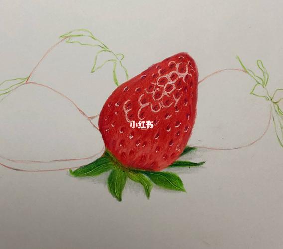 彩铅水果系列:草莓91的画法(绘画图片分享)_草莓_绘画_彩铅_水果