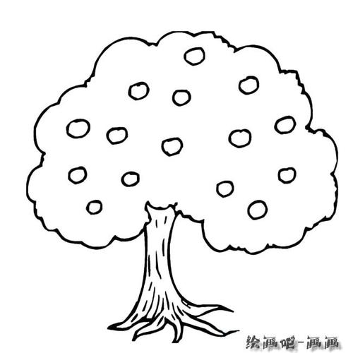 果树植物简笔画步骤图片大全三