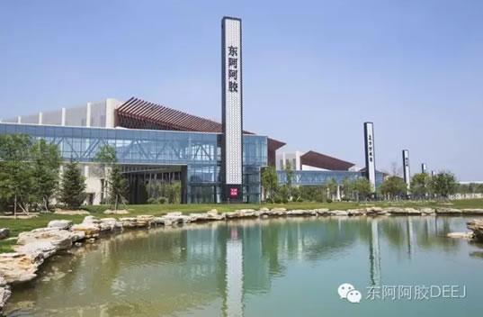 东阿阿胶股份有限公司斩获年度最佳市场表现医药上市