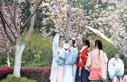 图文:"穿越"古代花朝节