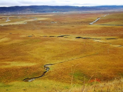 九红草原风光路(20/10/4)
