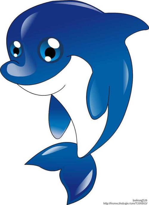 小海豚卡通图片可爱