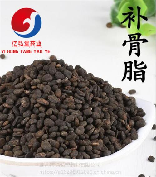 盐炒补骨脂功效与作用 补骨脂产地批发价格多少钱一公斤